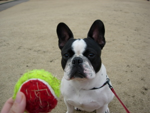 早く投げてくださいよ～