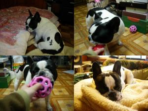 まったり～ゆっくり～♪