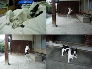 お外、雨ですね～。