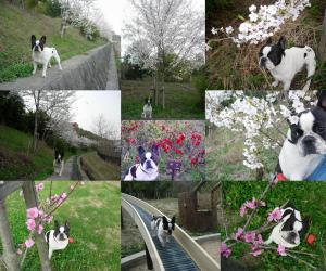 写真撮るより走ろうよ～