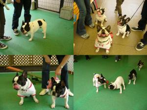 みんなと遊びましたよ～♪