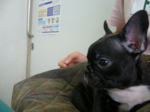 ここどこでちゅか？？