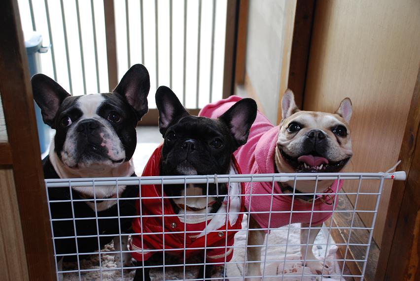 君たちはこっちには来れないんだよ～（笑）