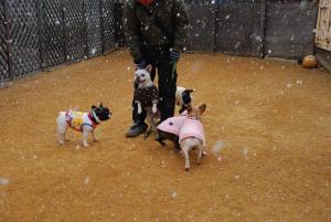 雪やこんこんですよ～！！