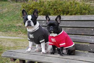 皆様、お久しぶりでございます。