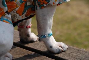 似合いますか～？