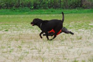 スピカどこ～？？