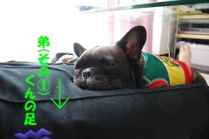 ネムネム～♪